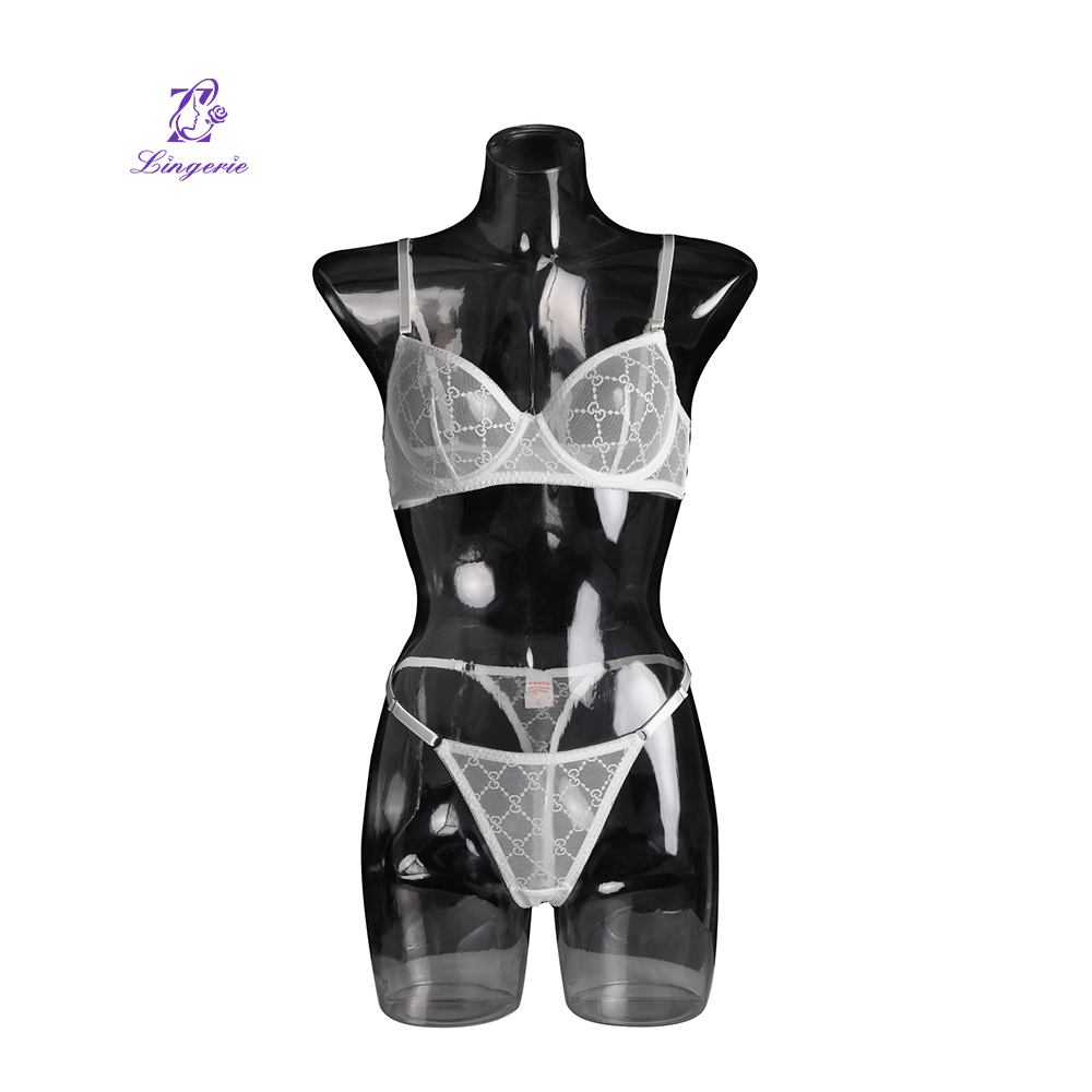 Mesh Perspective Bra Set