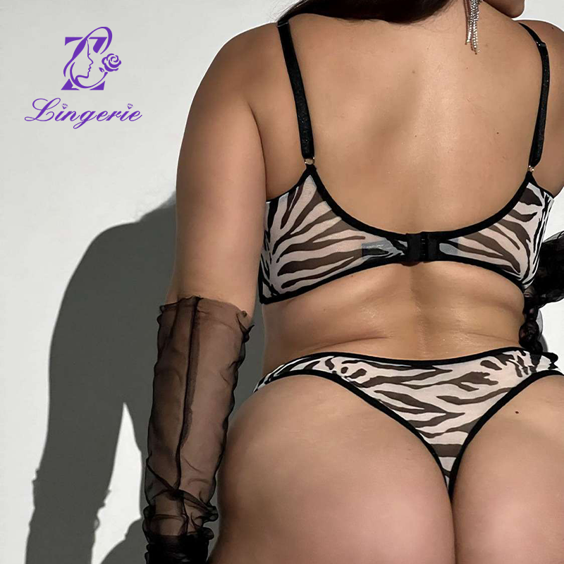 Erotic Lingerie Sexy See Through 2 Piece Set